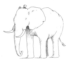 El This book belongs to